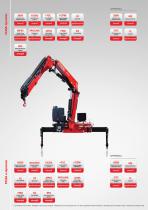 F215A dynamic Fassi loader crane-10