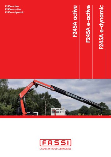 All FASSI Ladekrane GmbH catalogs and technical brochures