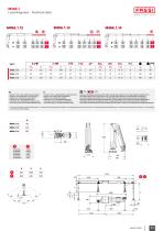 MICRO SERIE-11