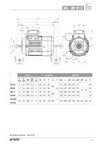 BS Single-phase asynchronous motors - 15