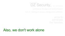 DZSecurity-13