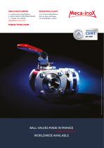 Designer & manufacturer of ball valves-12