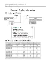 ST300 Inverter User Manual - 3