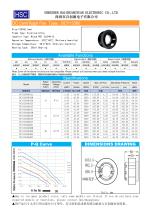 BCY10025-3