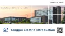 Yonggui Electric Introduction-1