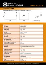 LIONTRON LiFePO4 Smart BMS 12.8V 150Ah under seat-2