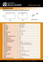LIONTRON LiFePO4 Smart BMS 12.8V 300Ah under seat-2