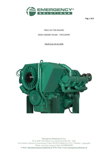 V0130S REBUILT ENGINE