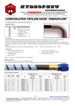 CONVOLUTED TEFLON HOSE "ONDOFLON" - 2