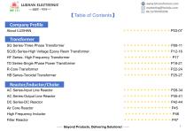 LUSHAN ELECTRONIC-2