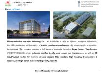 LUSHAN ELECTRONIC-3