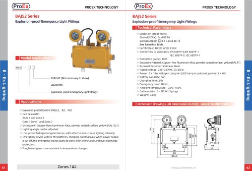BAJ52 Series Explosion-proof Emergency Light fittings
