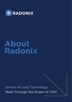 Radonix Controller Package-2