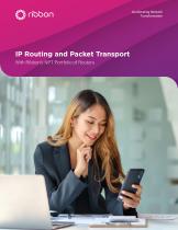 IP Routing and Packet Transport-1