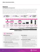 Ribbon Networking Portfolio-4