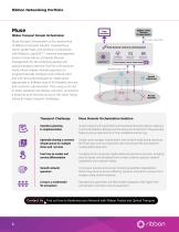 Ribbon Networking Portfolio-5