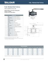 Fully welded Ball Valves-12