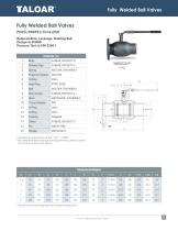 Fully welded Ball Valves-13