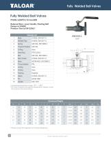 Fully welded Ball Valves-14