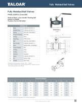 Fully welded Ball Valves-17