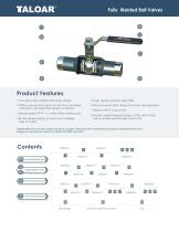 Fully welded Ball Valves-4