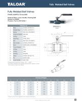 Fully welded Ball Valves-5