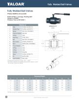 Fully welded Ball Valves-6