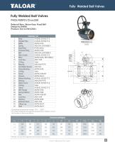Fully welded Ball Valves-9