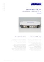 CableFree Amber Crystal: MIMO AC 2x2-1