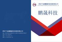 Pengsheng Technology-1