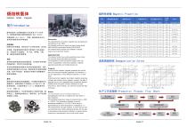 Pengsheng Technology-4