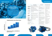 LOW VOLTAGE IE4/IE5 synchronous reluctance motor-2