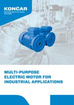 MULTI-PURPOSE ELECTRIC MOTOR FOR INDUSTRIAL APPLICATIONS-1