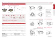 Pneumatic gripper FZ series-2