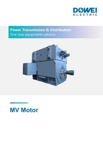 Dowei Electric MV Motor TEFC