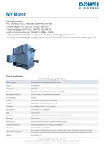 Dowei Electric MV Motor TEFC-2