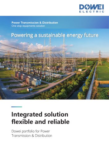 Dowei Electric Portfolio Power Transmission & Distribution