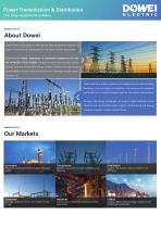 Dowei Electric Portfolio Power Transmission & Distribution-2