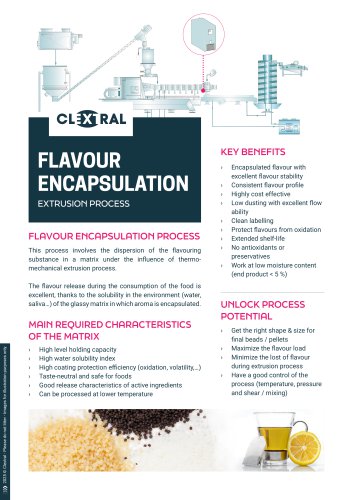 FLAVOUR ENCAPSULATION PROCESS