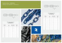 Forestry and agricultural chains and accessories-3