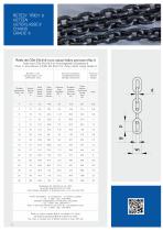 Sling chains and components-10
