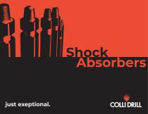 Shock Absorbers-1
