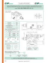Valves for hydraulic motors-10