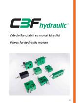 Valves for hydraulic motors-1