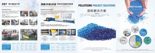 PELLETIZING PROJECT SOLUTIONS