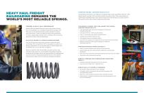 Springs Brochure-2