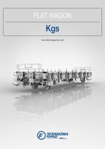 Kgs-1
