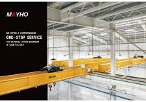Electric Wire Rope Hoist-2