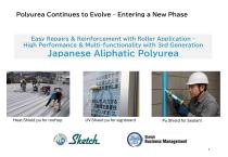 Aliphatic Polyurea Product2025-1