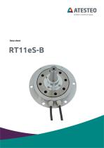 Data sheet RT11eS-B-1
